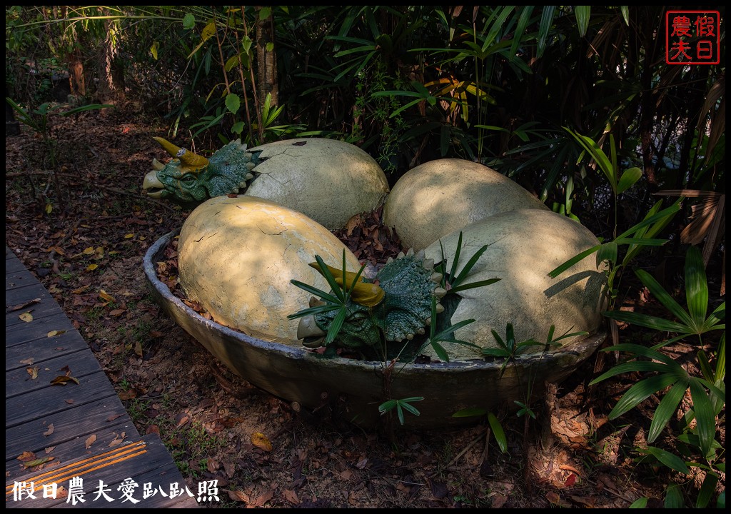 日賞桐夜賞螢就在三義西湖渡假村|超值住宿門票優惠 @假日農夫愛趴趴照