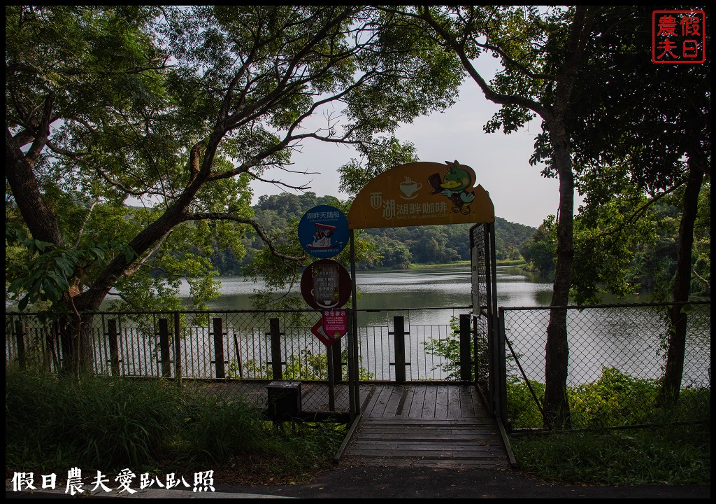 日賞桐夜賞螢就在三義西湖渡假村|超值住宿門票優惠 @假日農夫愛趴趴照