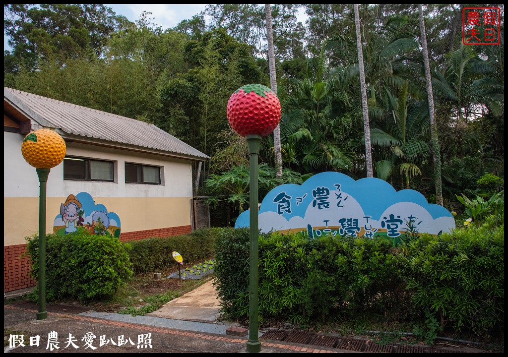 日賞桐夜賞螢就在三義西湖渡假村|超值住宿門票優惠 @假日農夫愛趴趴照