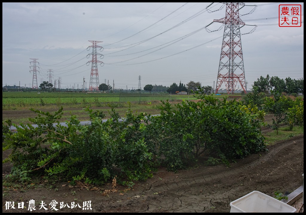 雲林麥寮景點|晁陽綠能園區．台灣首座太陽能休閒農場 @假日農夫愛趴趴照