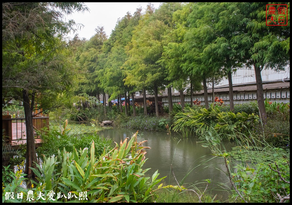 雲林麥寮景點|晁陽綠能園區．台灣首座太陽能休閒農場 @假日農夫愛趴趴照