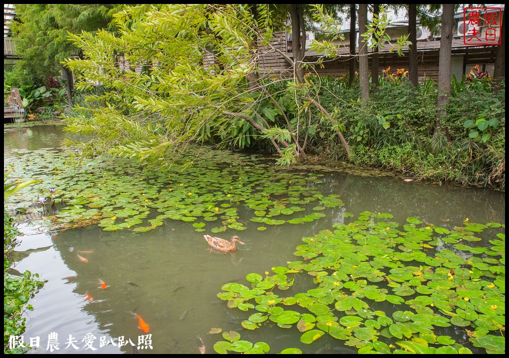 雲林麥寮景點|晁陽綠能園區．台灣首座太陽能休閒農場 @假日農夫愛趴趴照