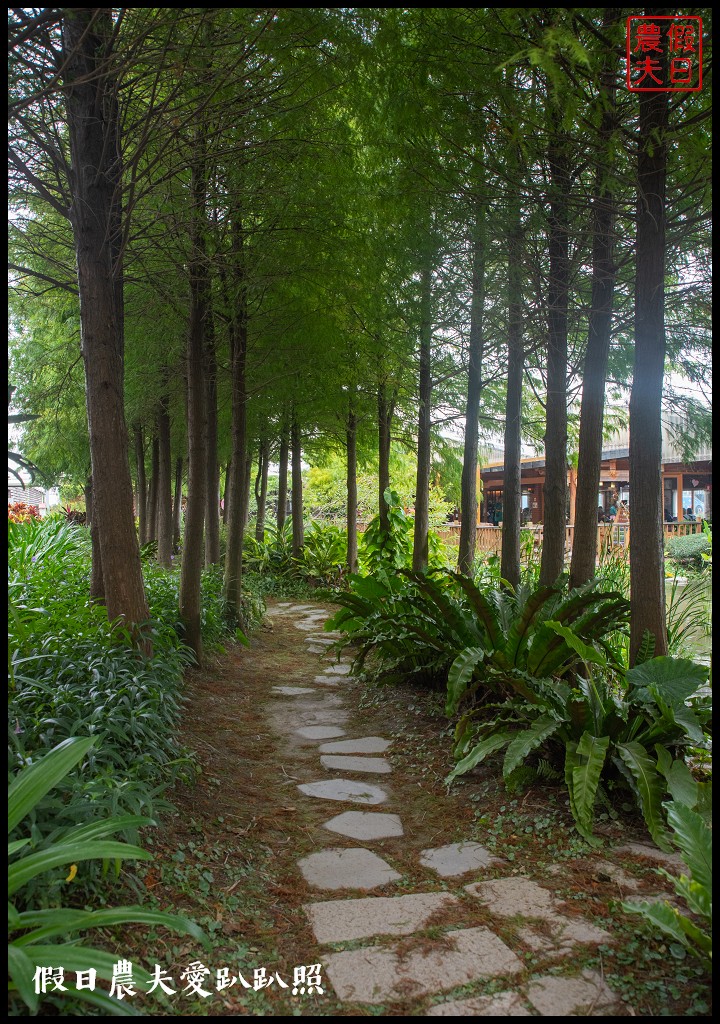 雲林麥寮景點|晁陽綠能園區．台灣首座太陽能休閒農場 @假日農夫愛趴趴照