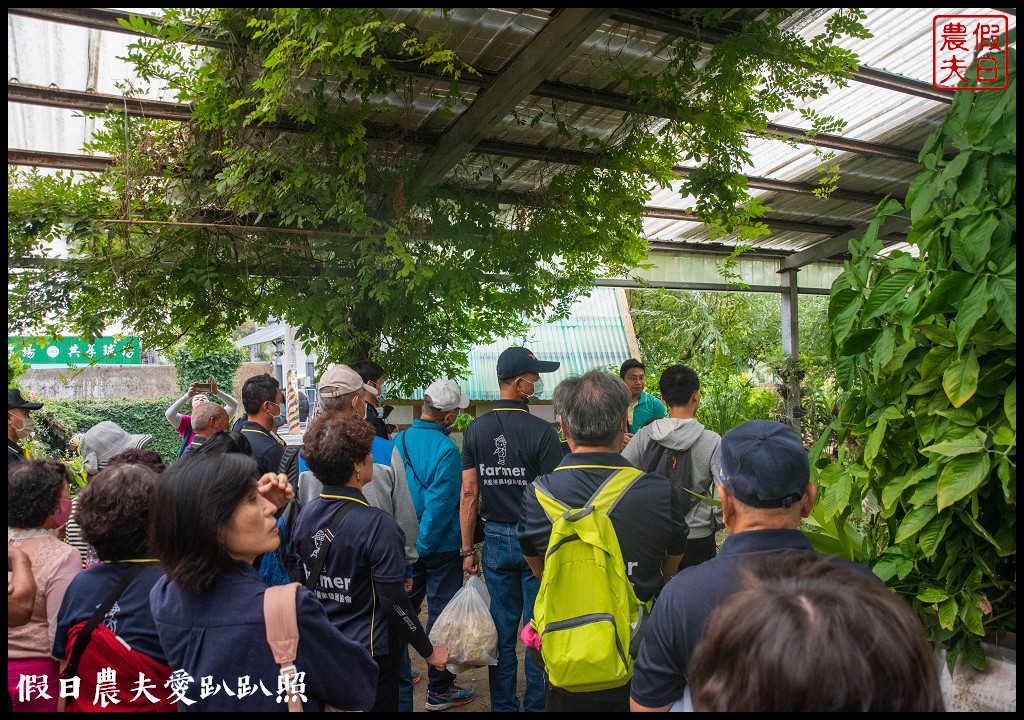 雲林麥寮景點|晁陽綠能園區．台灣首座太陽能休閒農場 @假日農夫愛趴趴照