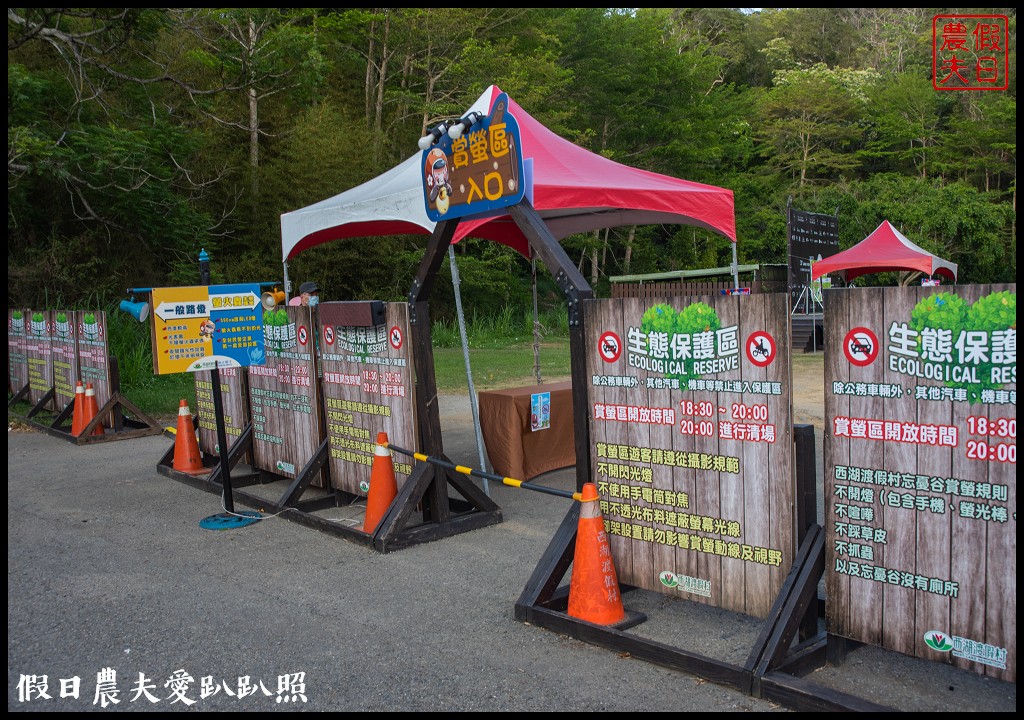 日賞桐夜賞螢就在三義西湖渡假村|超值住宿門票優惠 @假日農夫愛趴趴照