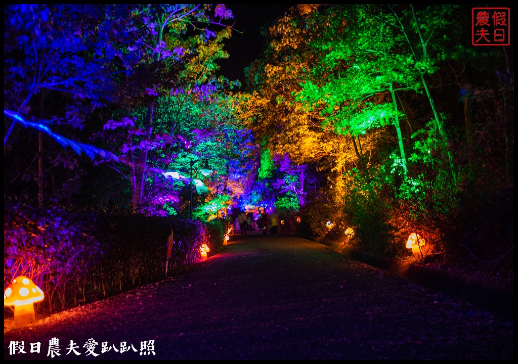 日賞桐夜賞螢就在三義西湖渡假村|超值住宿門票優惠 @假日農夫愛趴趴照