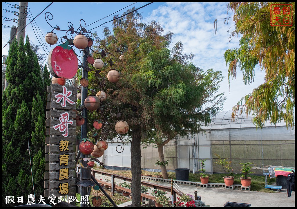 雲林宅配|口湖水哥教育農場．鹽地裡的玫瑰番茄 @假日農夫愛趴趴照