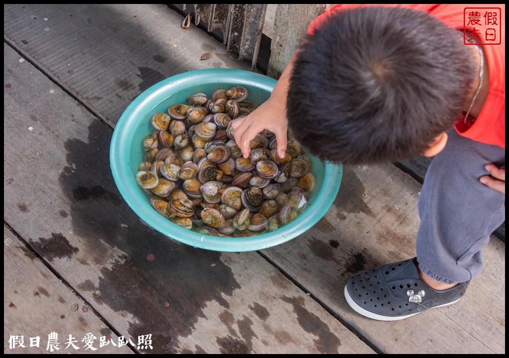 嘉義景點|東石向禾休閒漁場．鰲鼓濕地森林園區 @假日農夫愛趴趴照