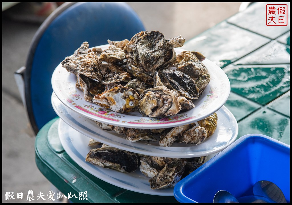 嘉義景點|東石向禾休閒漁場．鰲鼓濕地森林園區 @假日農夫愛趴趴照