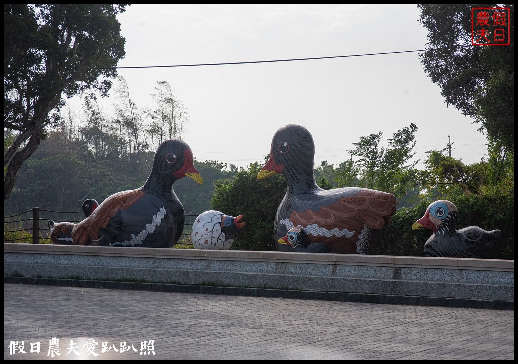 嘉義景點|東石向禾休閒漁場．鰲鼓濕地森林園區 @假日農夫愛趴趴照