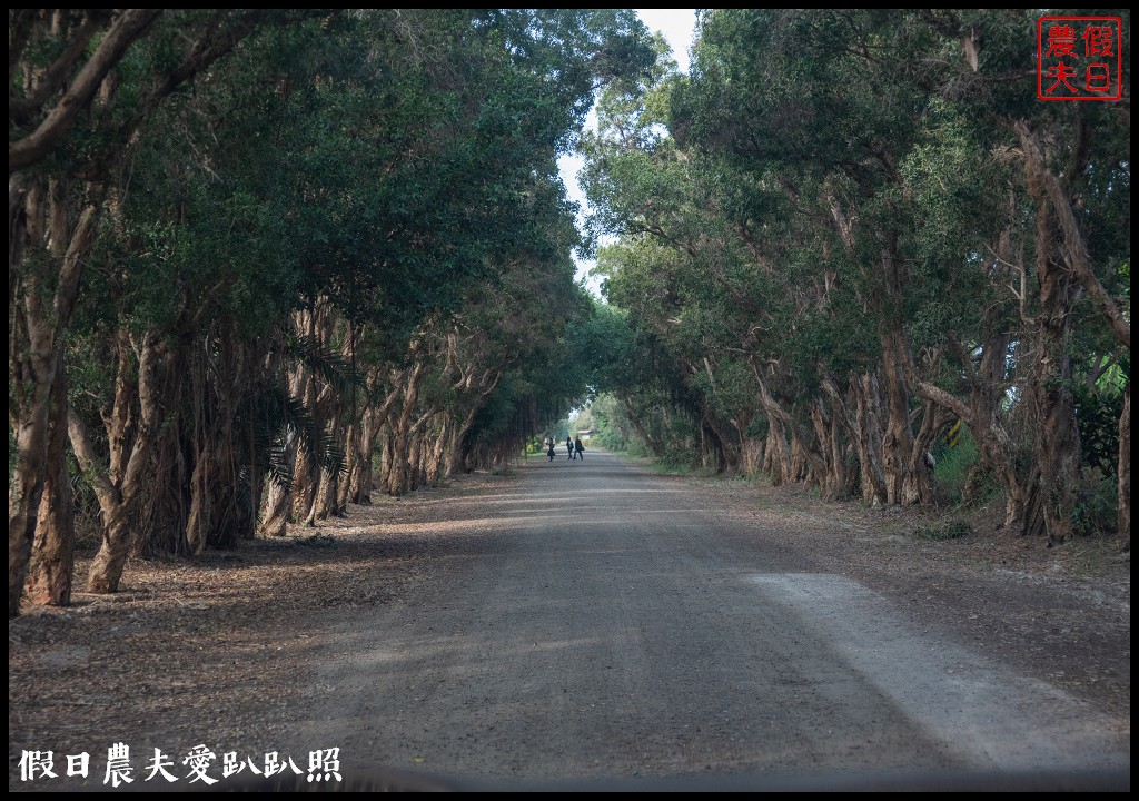 嘉義景點|東石向禾休閒漁場．鰲鼓濕地森林園區 @假日農夫愛趴趴照