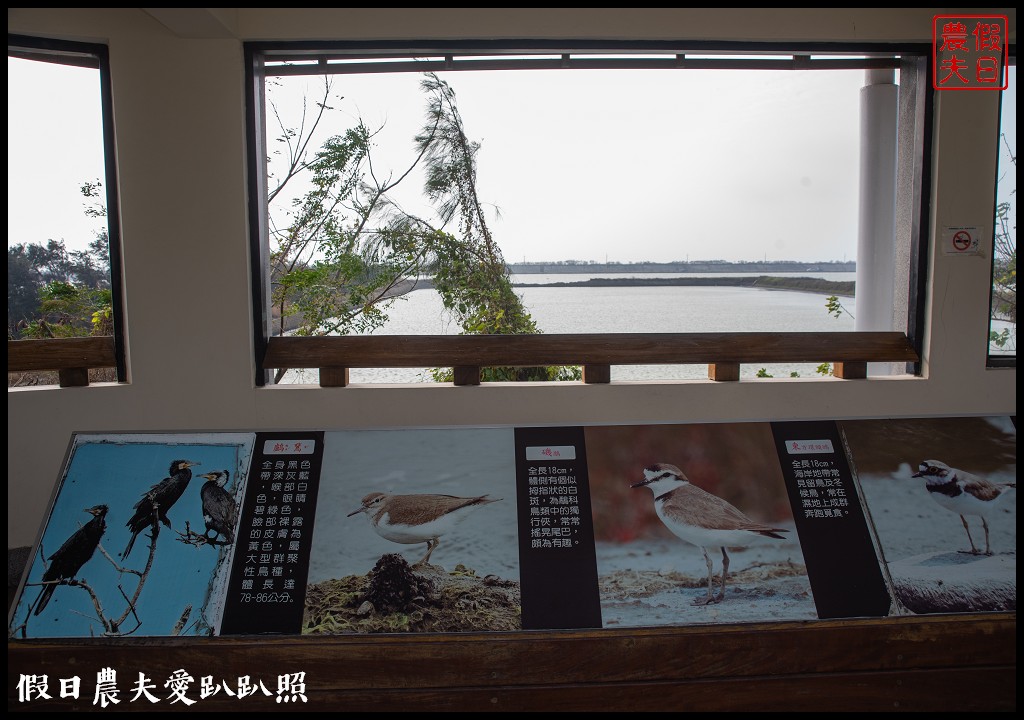 嘉義景點|東石向禾休閒漁場．鰲鼓濕地森林園區 @假日農夫愛趴趴照