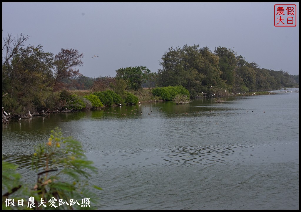 嘉義景點|東石向禾休閒漁場．鰲鼓濕地森林園區 @假日農夫愛趴趴照