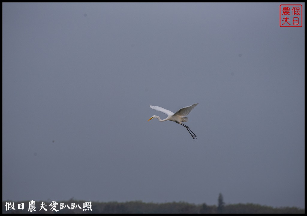 嘉義景點|東石向禾休閒漁場．鰲鼓濕地森林園區 @假日農夫愛趴趴照