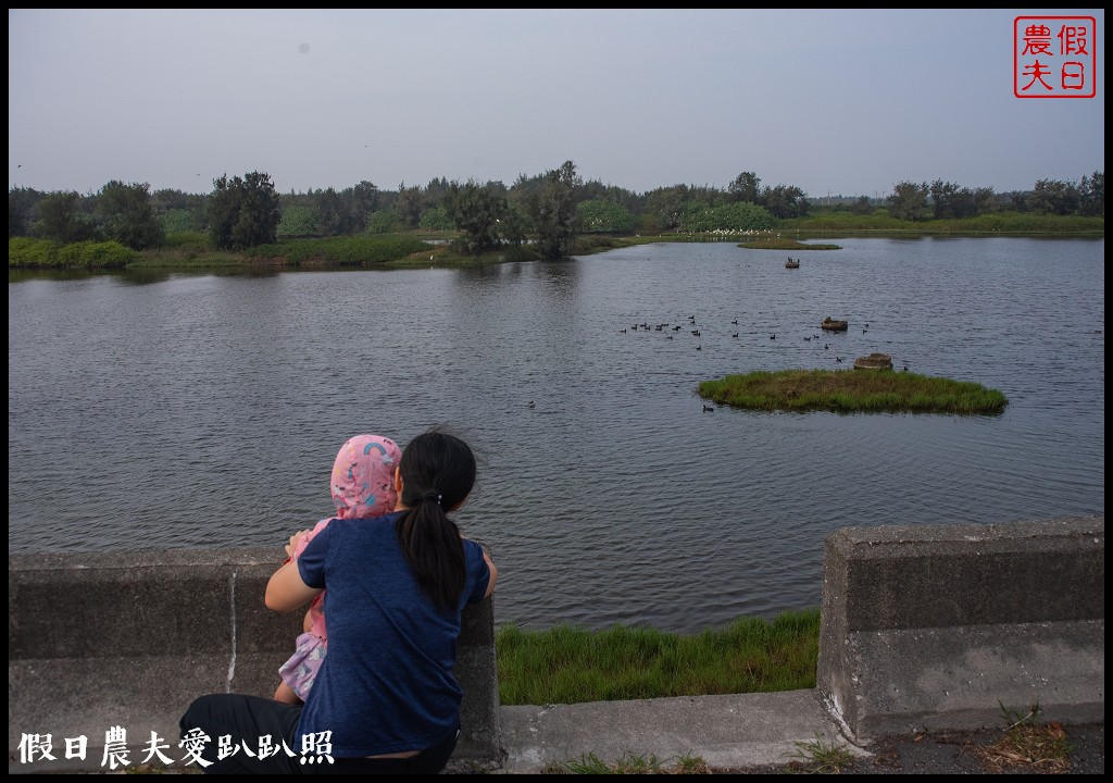 嘉義景點|東石向禾休閒漁場．鰲鼓濕地森林園區 @假日農夫愛趴趴照