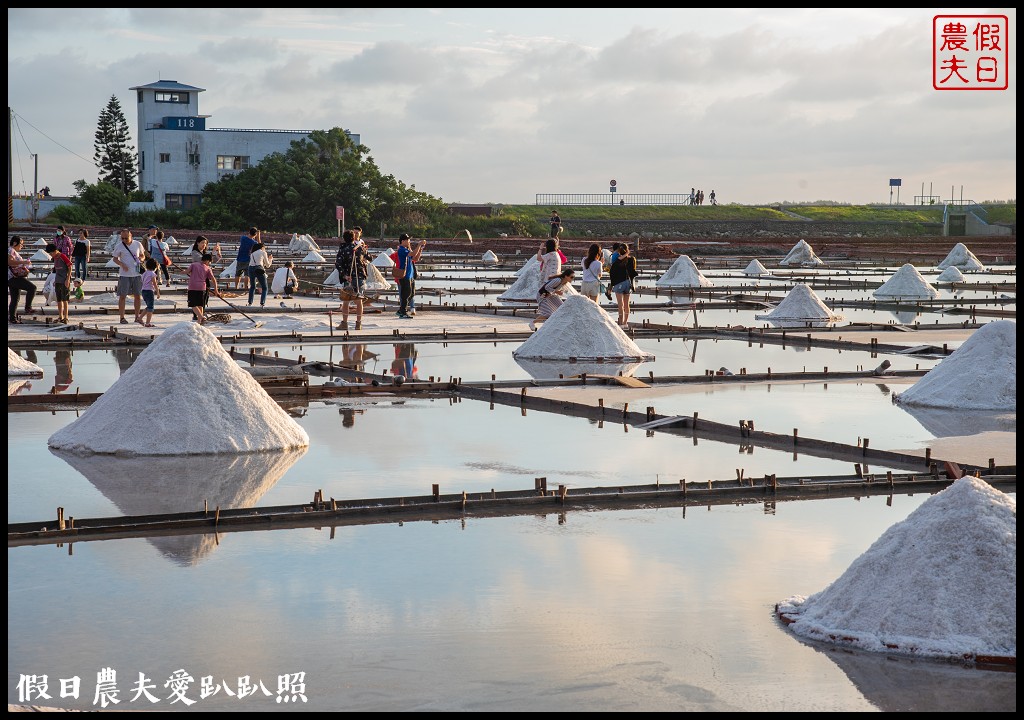 台南景點|北門井仔腳瓦盤鹽田．看夕陽賞黑腹燕鷗黃昏之舞 @假日農夫愛趴趴照