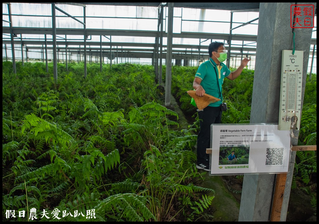 雲林麥寮景點|晁陽綠能園區．台灣首座太陽能休閒農場 @假日農夫愛趴趴照