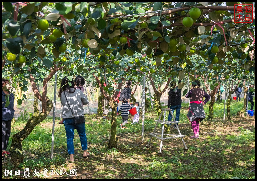 台灣好湯|南投北港溪溫泉二日遊．暢遊國姓鄉景點美食 @假日農夫愛趴趴照