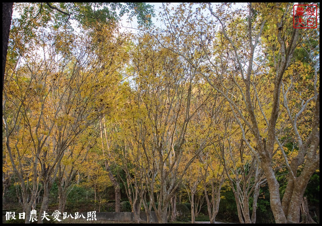 台灣好湯|南投北港溪溫泉二日遊．暢遊國姓鄉景點美食 @假日農夫愛趴趴照