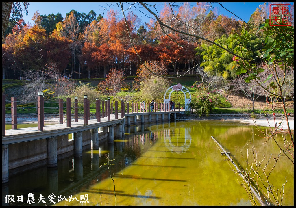 住宿清境農場國民賓館．免費暢遊青青草原小瑞士花園 @假日農夫愛趴趴照