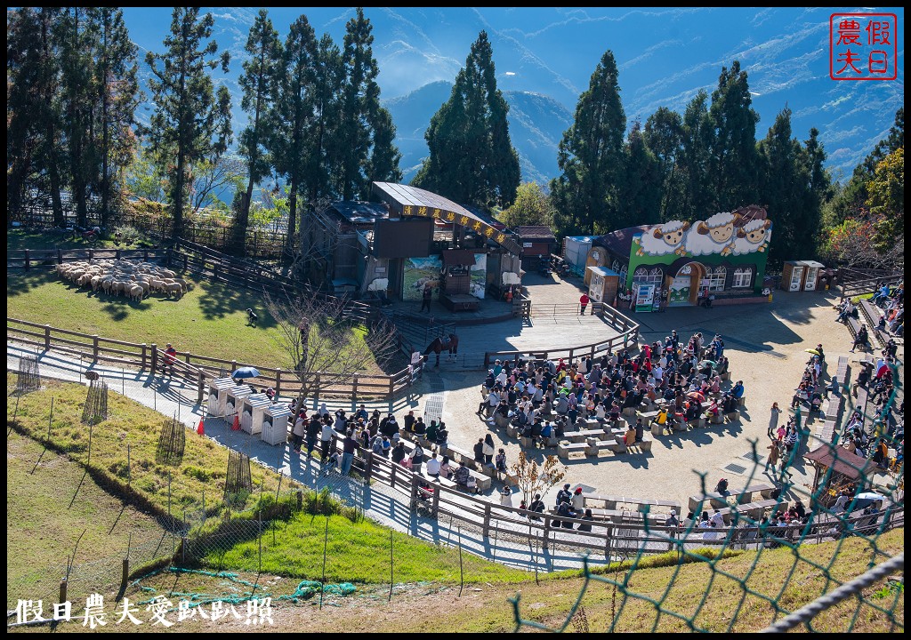 住宿清境農場國民賓館．免費暢遊青青草原小瑞士花園 @假日農夫愛趴趴照