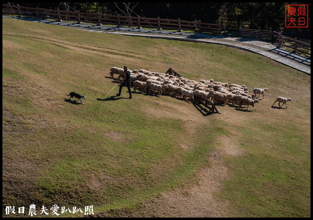 住宿清境農場國民賓館．免費暢遊青青草原小瑞士花園 @假日農夫愛趴趴照