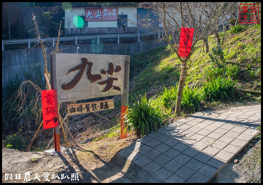 九份二山九尖茶園七號梅莊梅花盛開|還可以去吃客家湯圓和米苔目 @假日農夫愛趴趴照