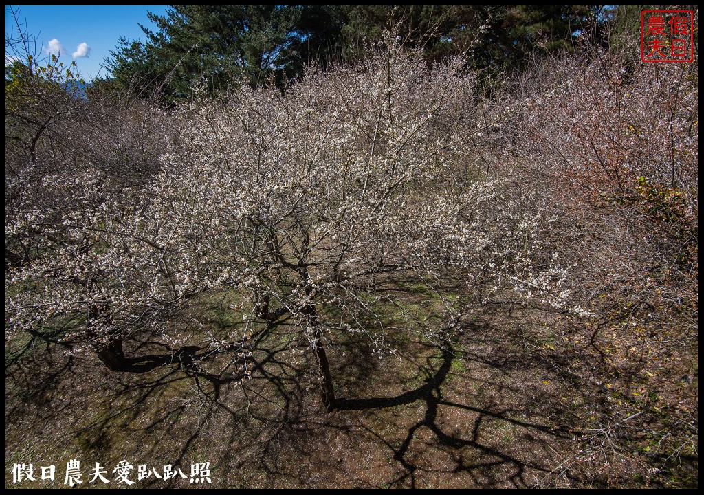 日月潭景點|慈恩塔．從海拔1000公尺俯瞰360度日月潭美麗湖光山色 @假日農夫愛趴趴照