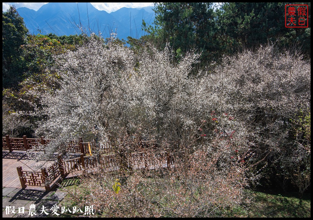 日月潭景點|慈恩塔．從海拔1000公尺俯瞰360度日月潭美麗湖光山色 @假日農夫愛趴趴照