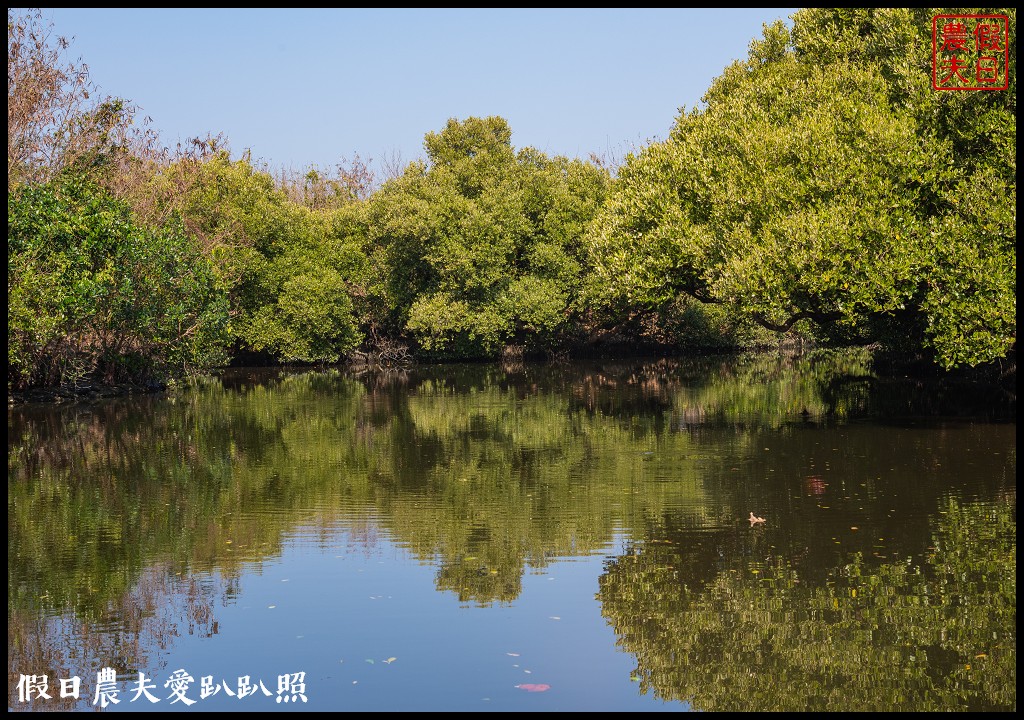 超美的‼四草綠色隧道．戴斗笠搭竹筏尋找絕美的天使之吻 @假日農夫愛趴趴照