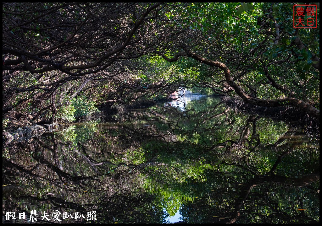 超美的‼四草綠色隧道．戴斗笠搭竹筏尋找絕美的天使之吻 @假日農夫愛趴趴照