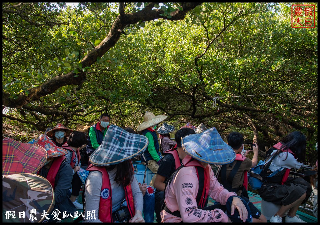 超美的‼四草綠色隧道．戴斗笠搭竹筏尋找絕美的天使之吻 @假日農夫愛趴趴照