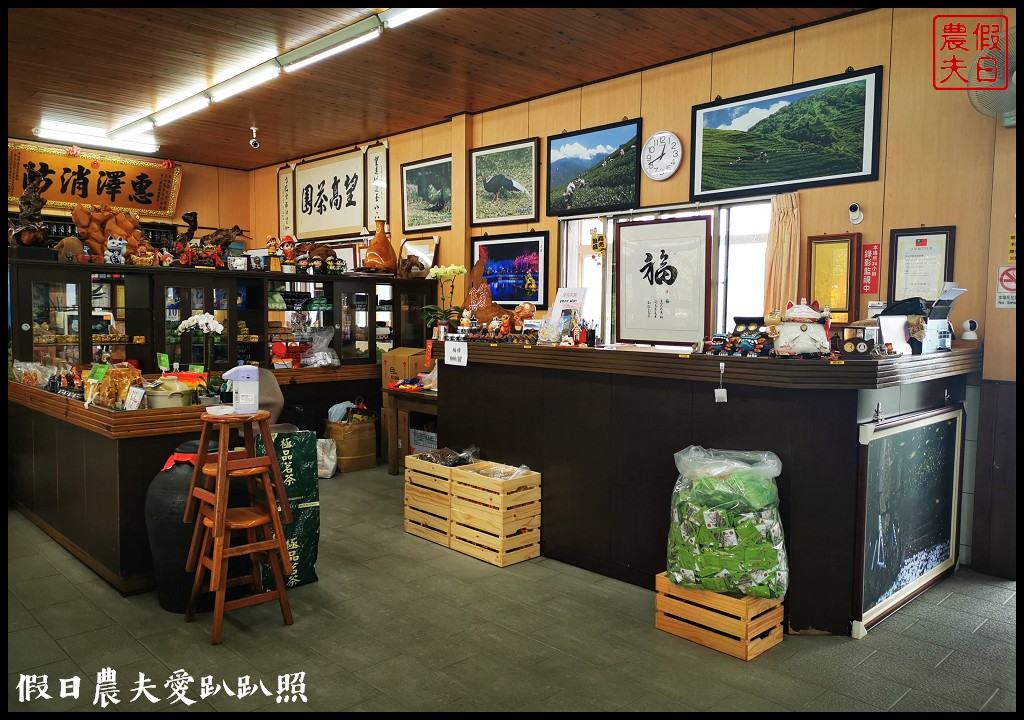 賞櫻新秘境❗️望高茶園景觀餐廳．隱藏在山坡下的櫻花秘境 @假日農夫愛趴趴照