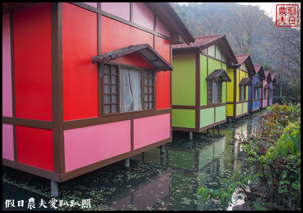 楓樺台一花泉卉館|住宿泡湯餐飲賞花採果DIY一次滿足 @假日農夫愛趴趴照