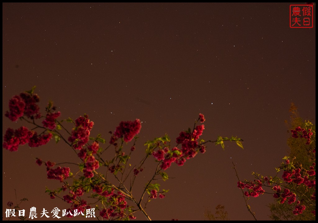 楓樺台一花泉卉館|住宿泡湯餐飲賞花採果DIY一次滿足 @假日農夫愛趴趴照