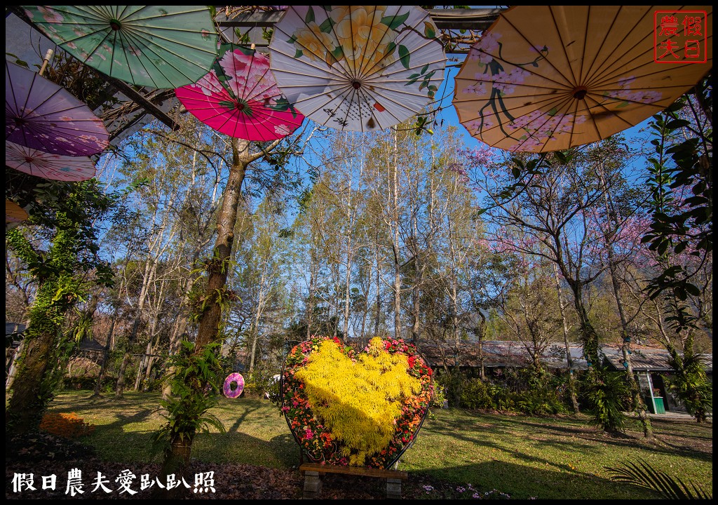 楓樺台一花泉卉館|住宿泡湯餐飲賞花採果DIY一次滿足 @假日農夫愛趴趴照