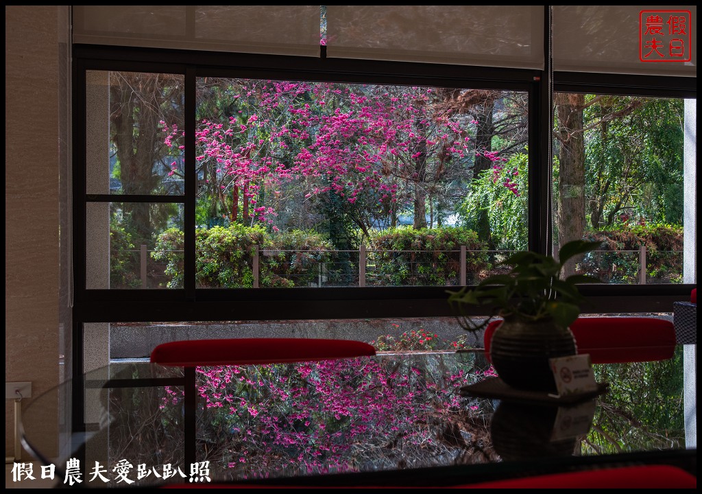 楓樺台一花泉卉館|住宿泡湯餐飲賞花採果DIY一次滿足 @假日農夫愛趴趴照