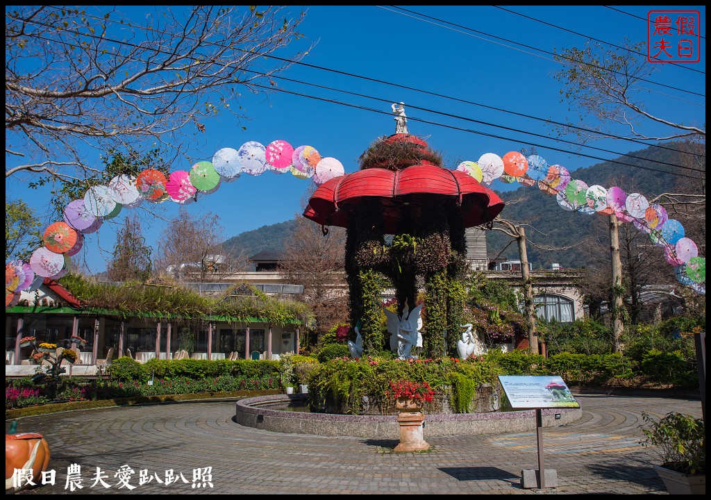 楓樺台一花泉卉館|住宿泡湯餐飲賞花採果DIY一次滿足 @假日農夫愛趴趴照