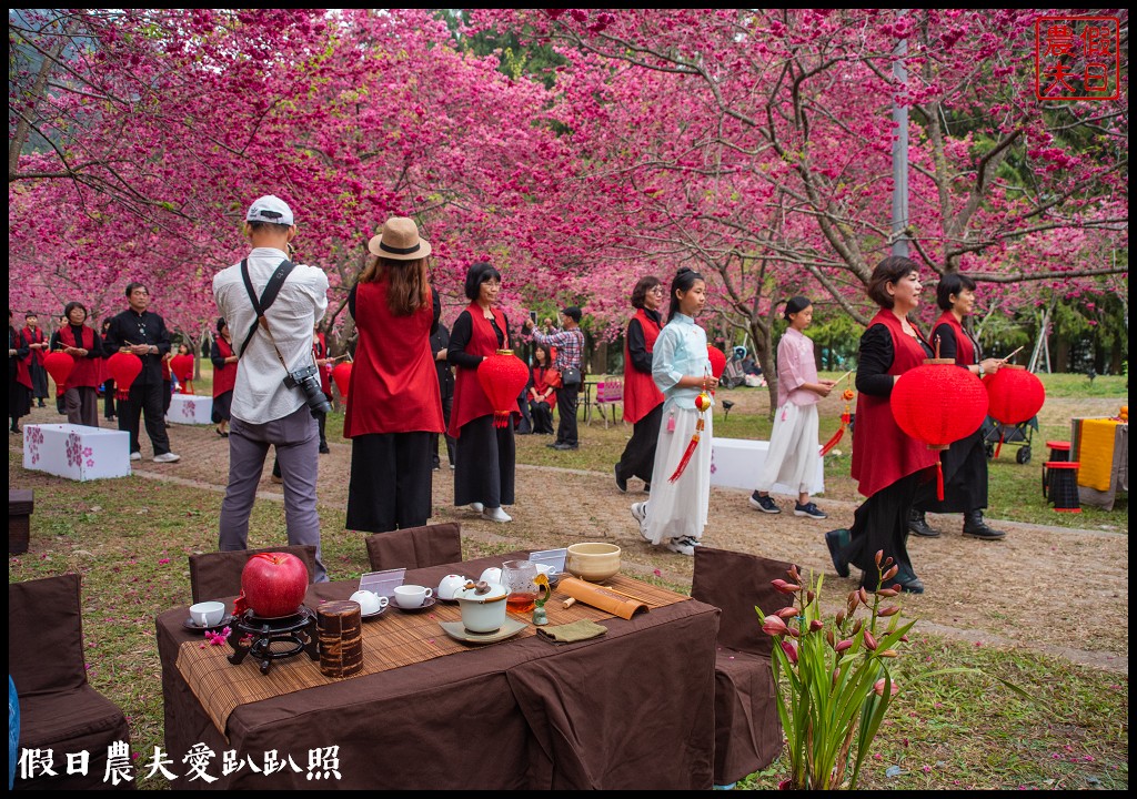 九族文化村櫻花祭|5000棵八重櫻富士櫻吉野櫻即將盛開 @假日農夫愛趴趴照