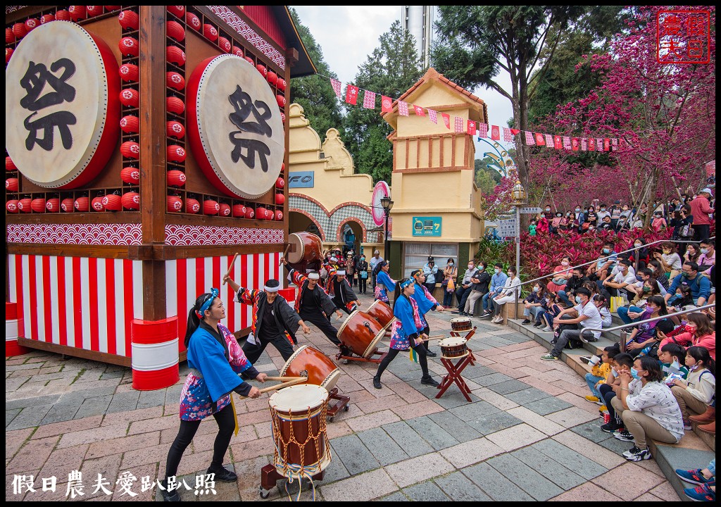 九族文化村櫻花祭|5000棵八重櫻富士櫻吉野櫻即將盛開 @假日農夫愛趴趴照