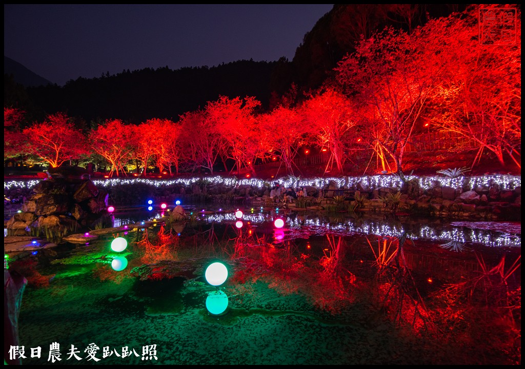 九族文化村櫻花祭|5000棵八重櫻富士櫻吉野櫻即將盛開 @假日農夫愛趴趴照