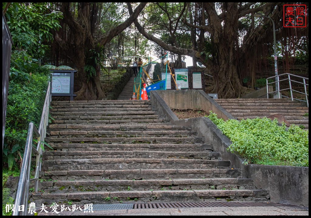 永春崗公園|搭公車近距離欣賞台北101的夜景 @假日農夫愛趴趴照