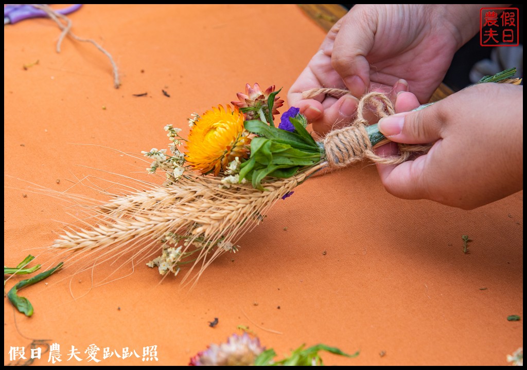 大城小麥農遊活動|豪麥遊俠食在好蜆/黑翅鳶農場 @假日農夫愛趴趴照