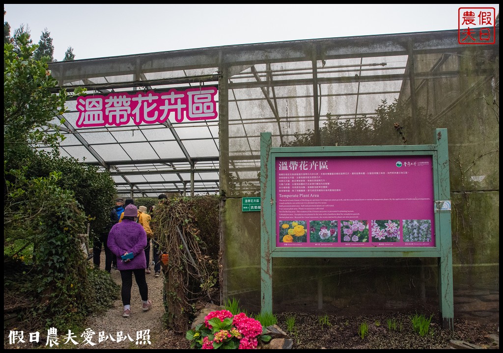 南投臺大梅峰農場|森林GOGO二天一夜生態營/春之饗宴 @假日農夫愛趴趴照