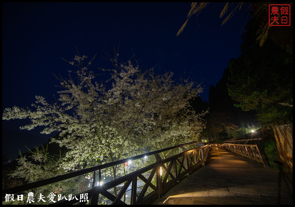 阿里山住宿|櫻山大飯店．第一次拍櫻王星軌 @假日農夫愛趴趴照