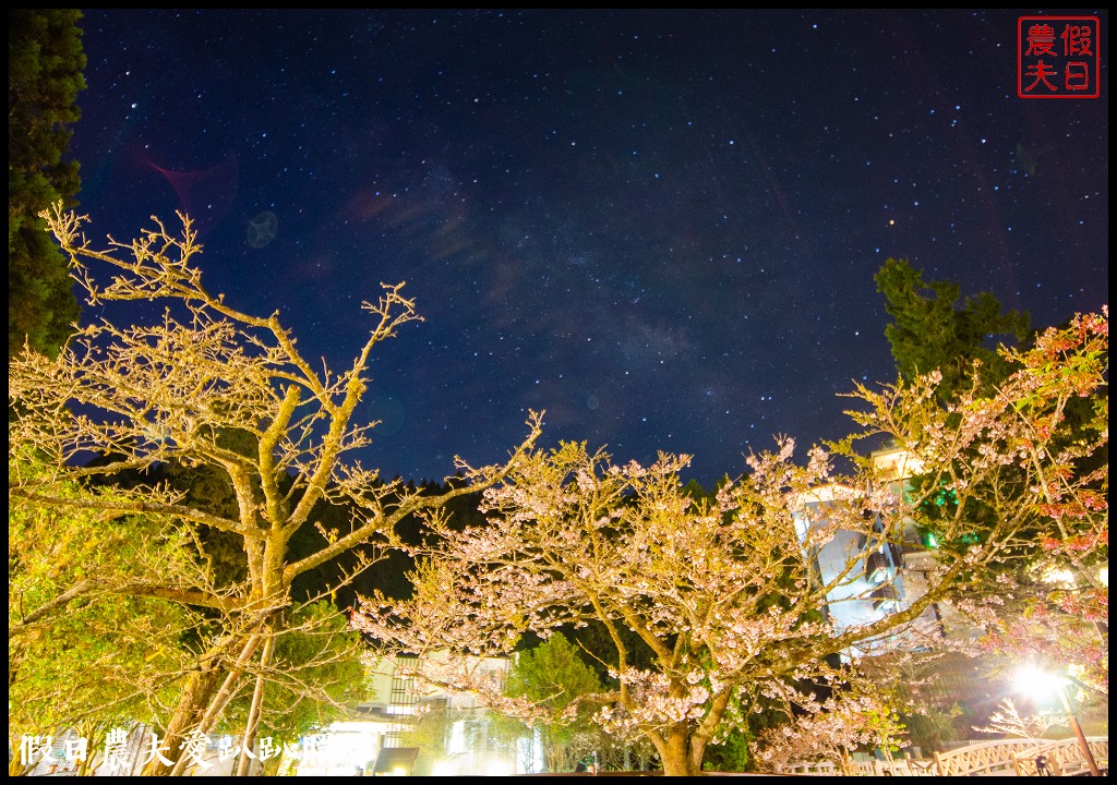 阿里山住宿|櫻山大飯店．第一次拍櫻王星軌 @假日農夫愛趴趴照