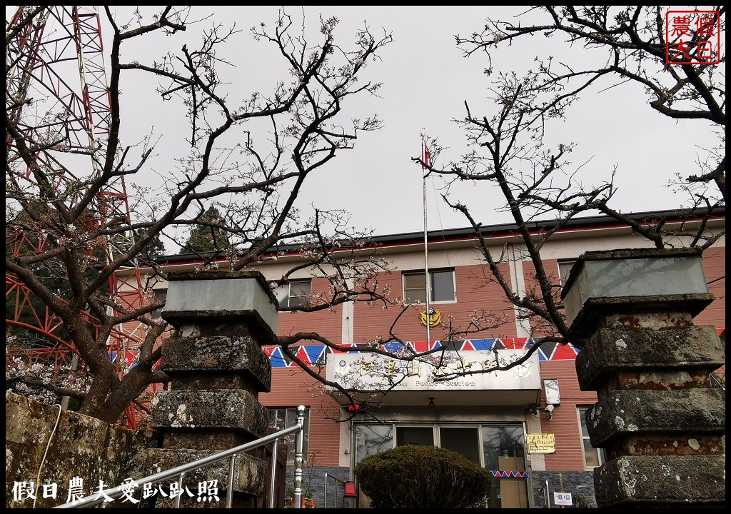 阿里山住宿|櫻山大飯店．第一次拍櫻王星軌 @假日農夫愛趴趴照