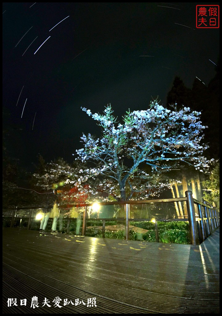 阿里山住宿|櫻山大飯店．第一次拍櫻王星軌 @假日農夫愛趴趴照