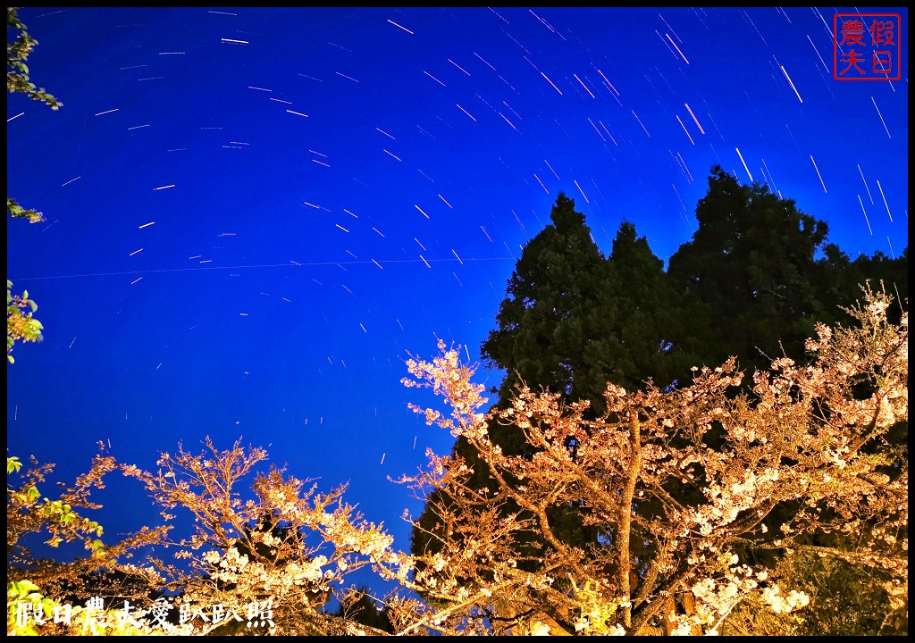 阿里山住宿|櫻山大飯店．第一次拍櫻王星軌 @假日農夫愛趴趴照