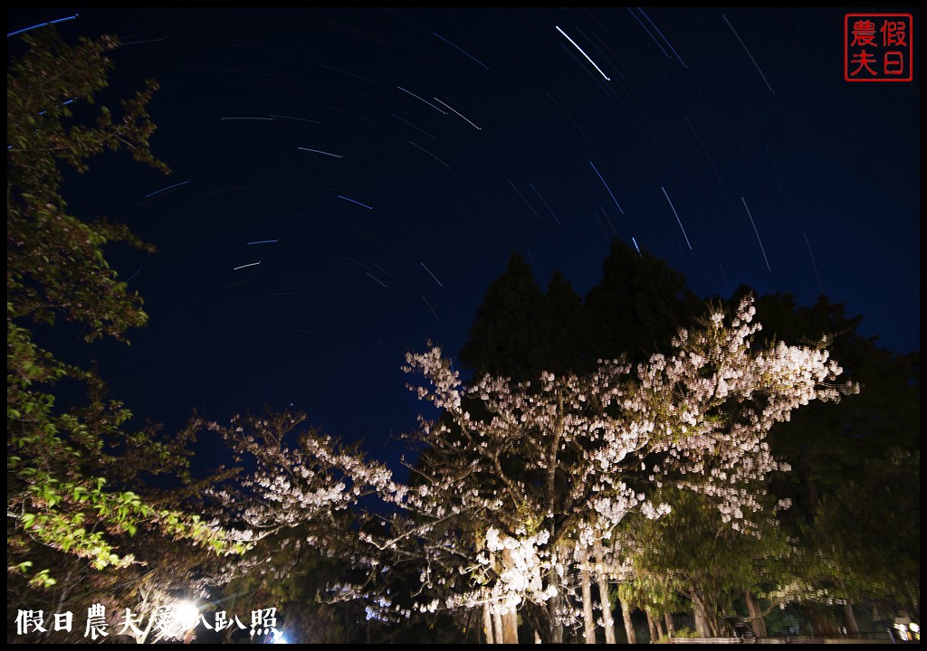 阿里山住宿|櫻山大飯店．第一次拍櫻王星軌 @假日農夫愛趴趴照